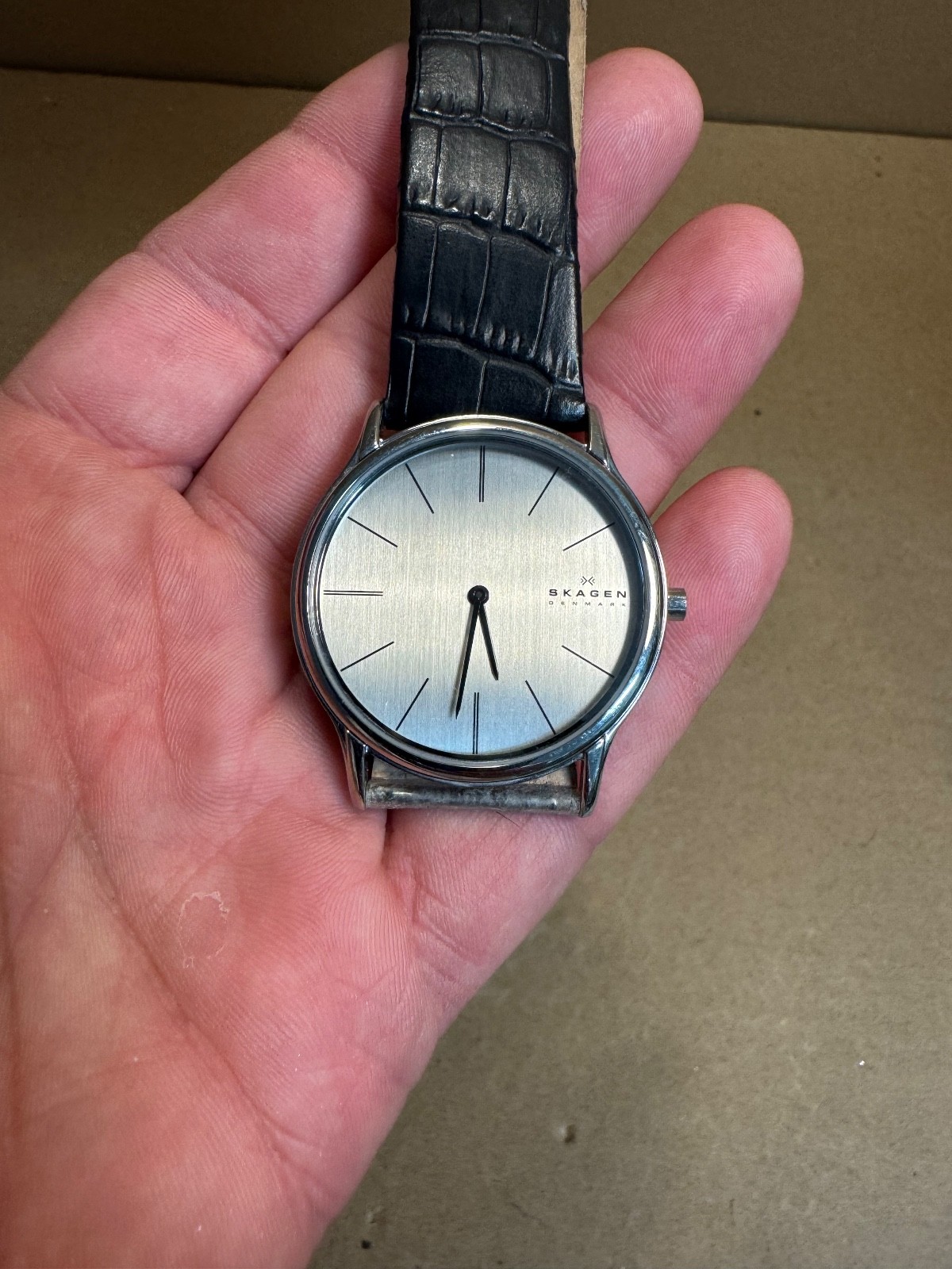 Skagen Denmark Theodor 858XLSLC Watch