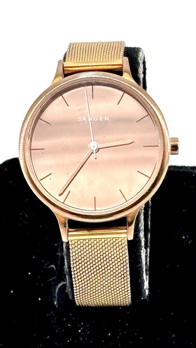 Skagen Anita SKW2413 Mirror Rose Gold Mesh Women’s Watch