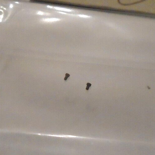 2 ELGIN 0 3/0 SIZE HAIRSPRING STUD SCREWS #1621 NOS — BB-516