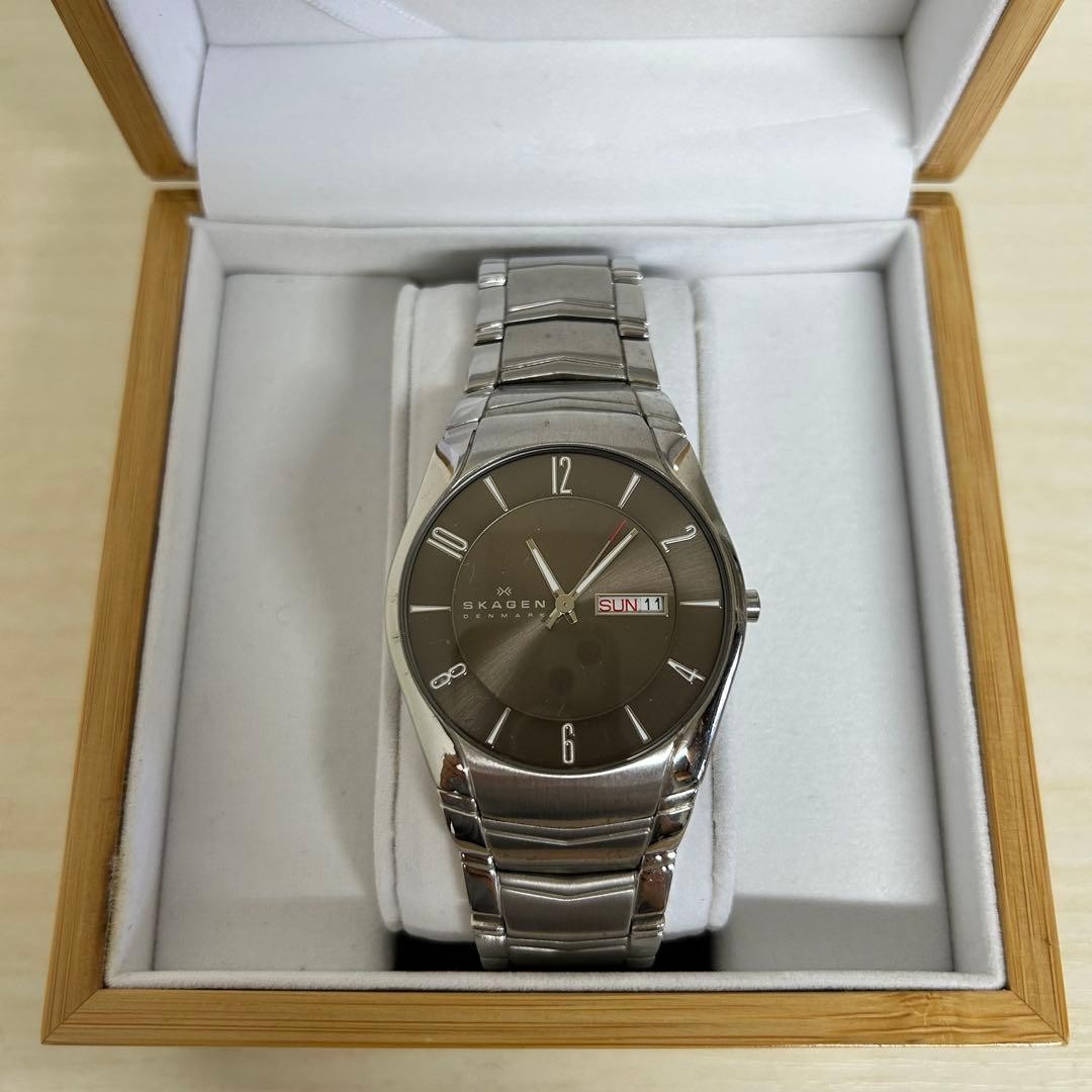 Watch Skagen SKAGEN 531XLSXM1