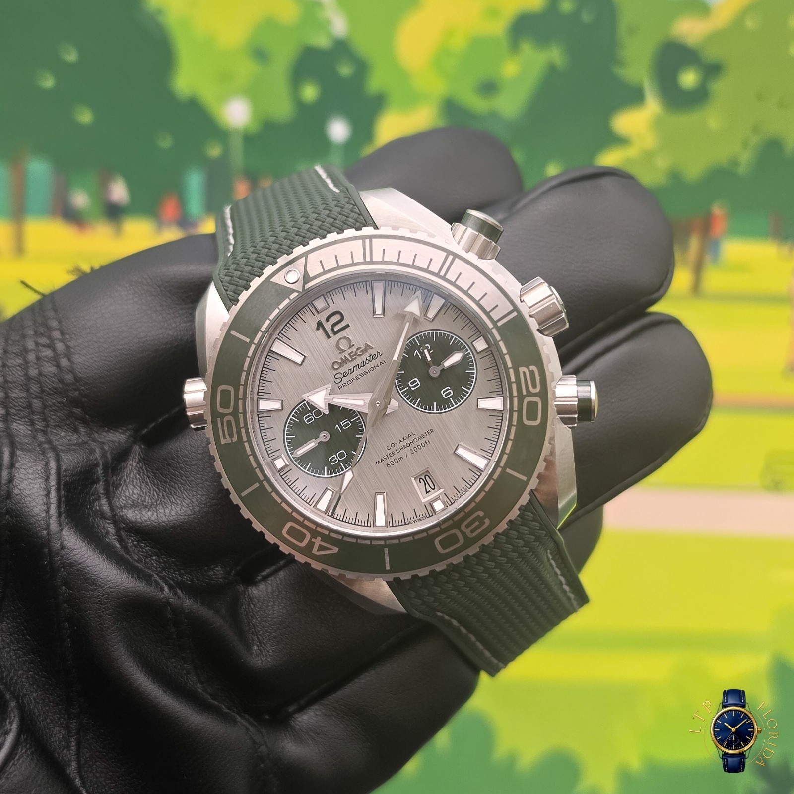 2026 | Omega | Seamaster | Planet Ocean 600M| Grey Dial | 215.32.46.51.06.001