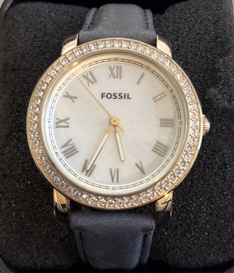 Fossil ES3191 Navy Blue Watch