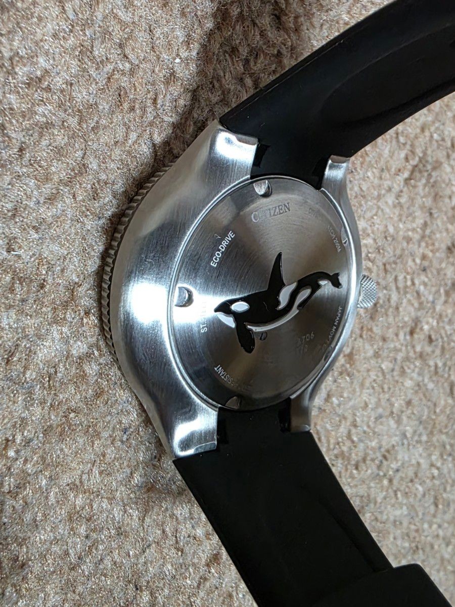 Citizen Promaster E168-S128706 Solar-Powered