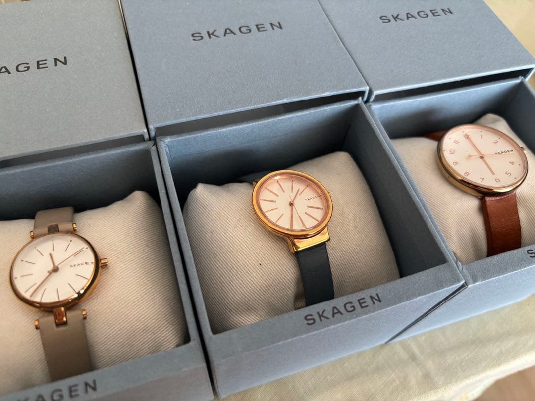 SKAGEN SKAGEN Watch