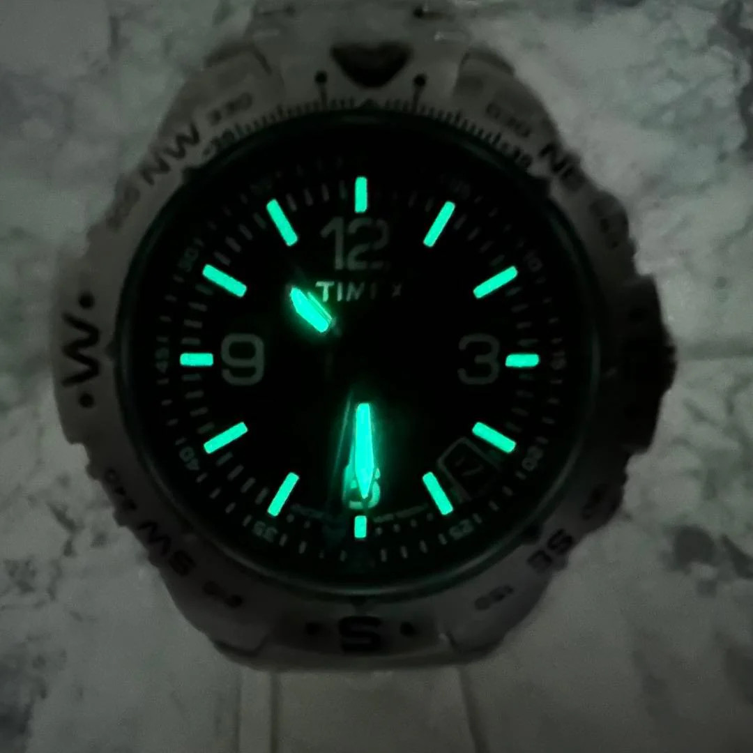 TIMEX Indiglo Compass Quartz Black Dial Stainless Steel 1.65 Watch