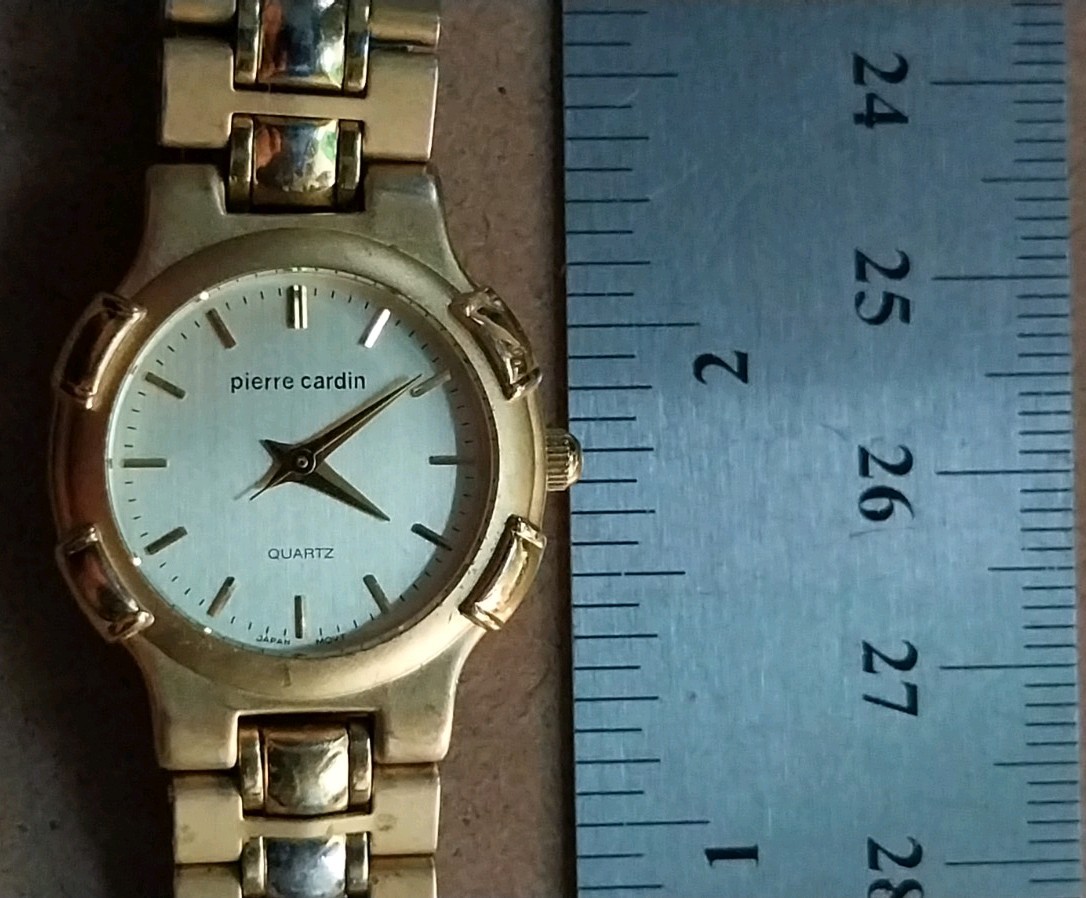 Pierre Cardin Quartz Watch LPC210 Bracelet Band New Battery