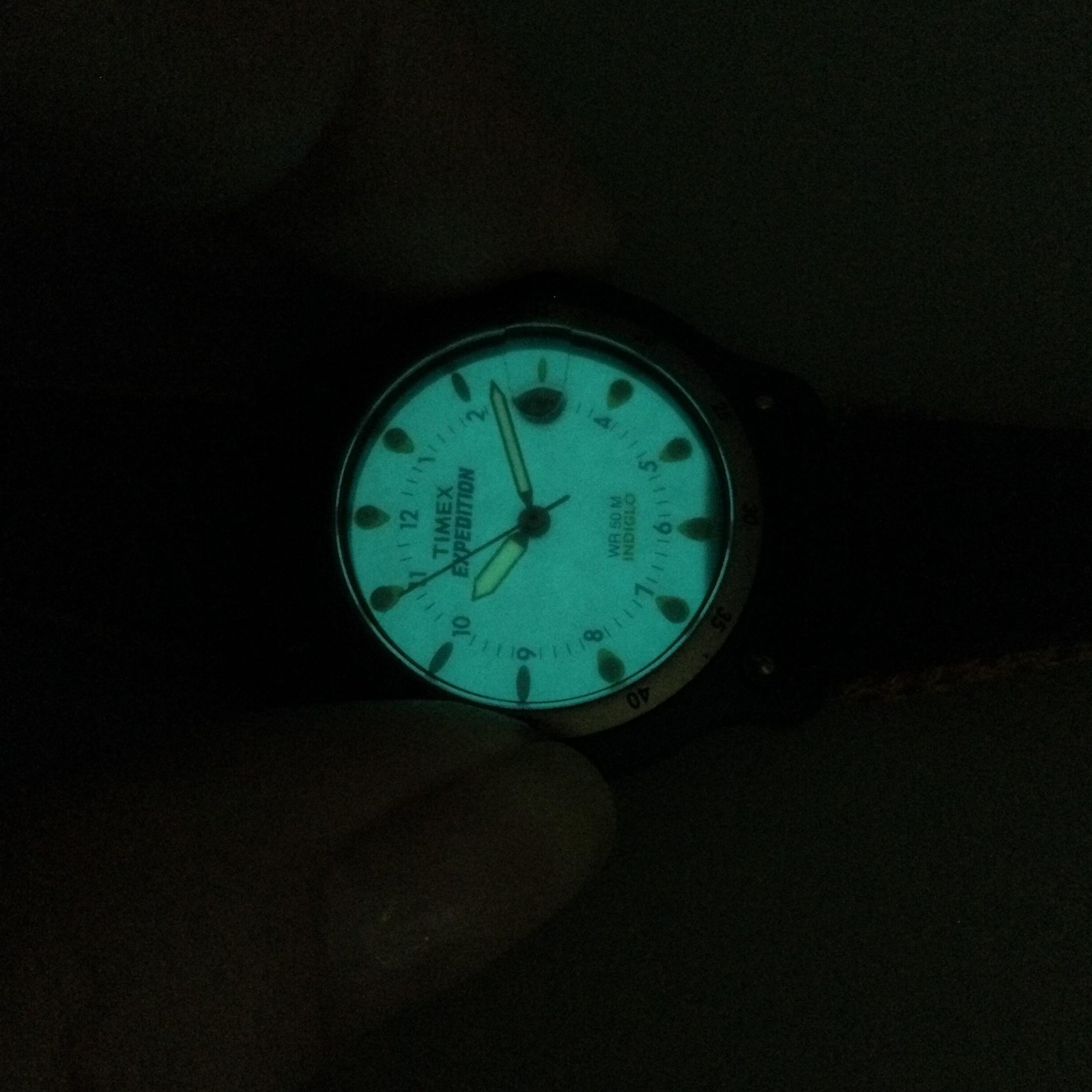 Timex Expedition Womens Watch 31mm White Dial Leather Indiglo Date New Battery