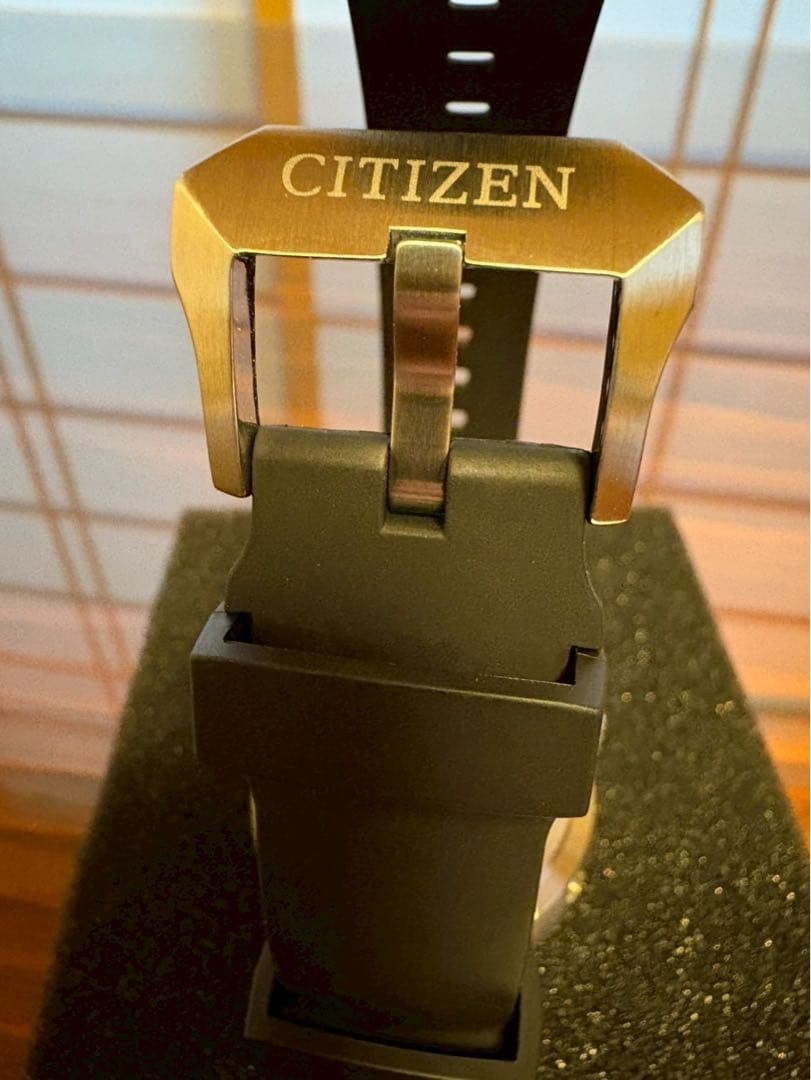 Citizen Promaster BN1024-01E Eco-Drive 300m Diver Watch