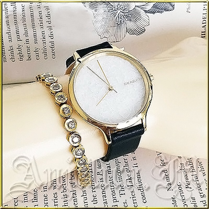 NWT Skagen Women’s Anita Stainless Steel and Leather Casual Watch SKW2671