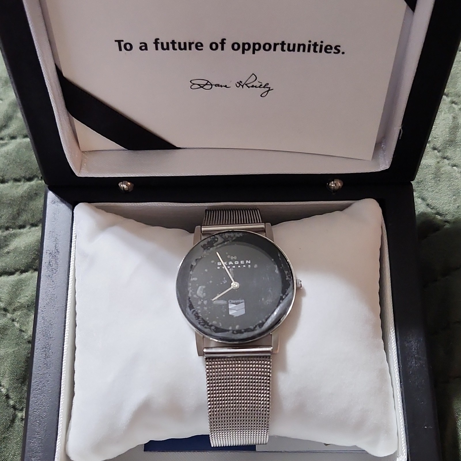 Skagen Denmark Quartz 30m Silver SS Mesh Band Black Dial w/ Box Manual