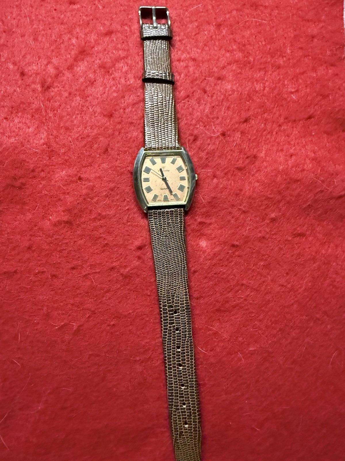 Vintage Celebrity Watch International Woman’s watch., Quartz, Runs