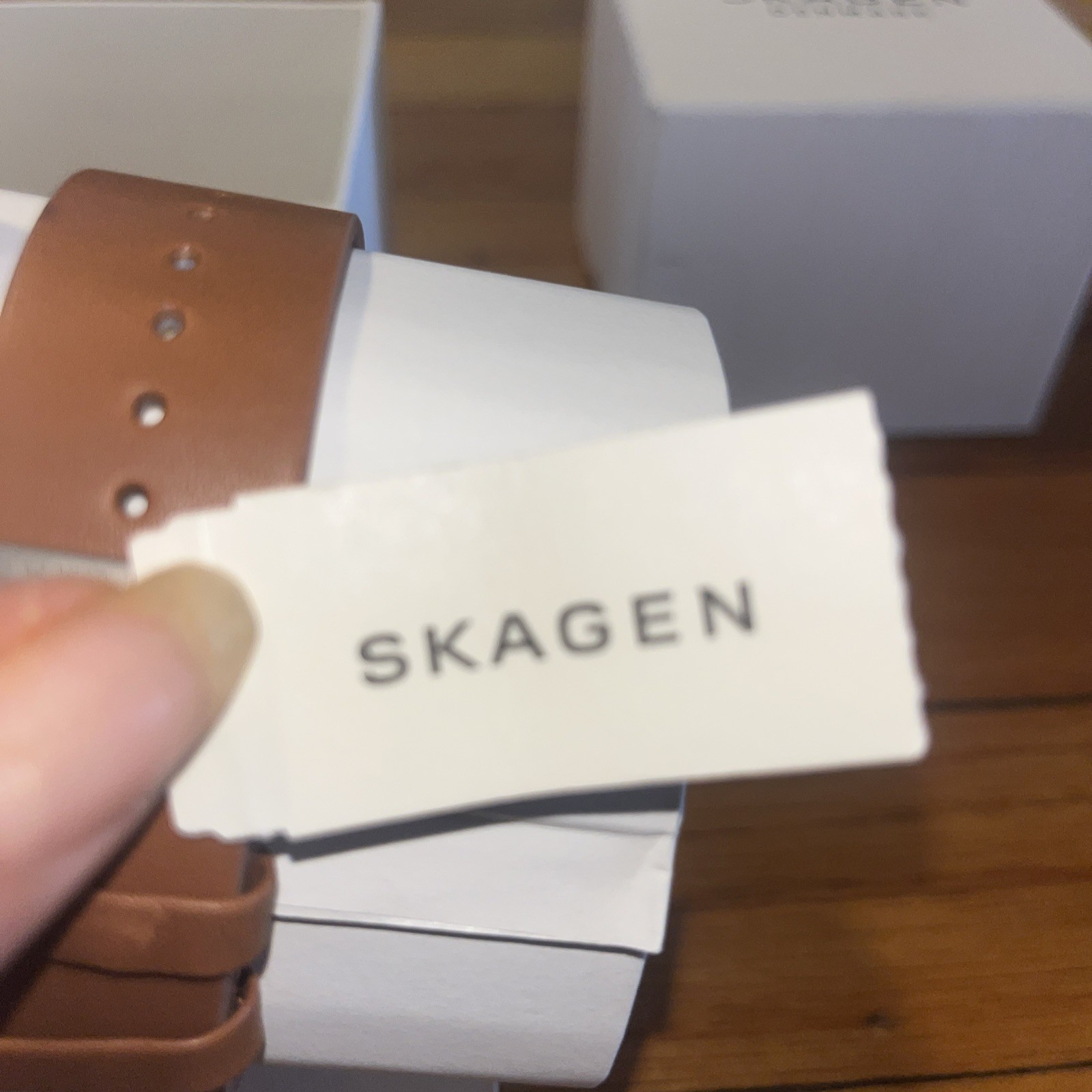 Skagen Denmark