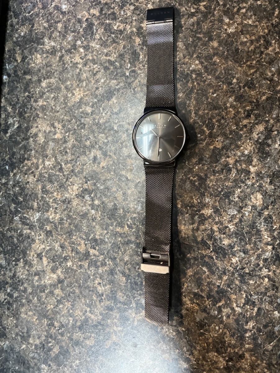 SKAGEN DENMARK Lady’s Wristwatch WATCH (QUI000909)