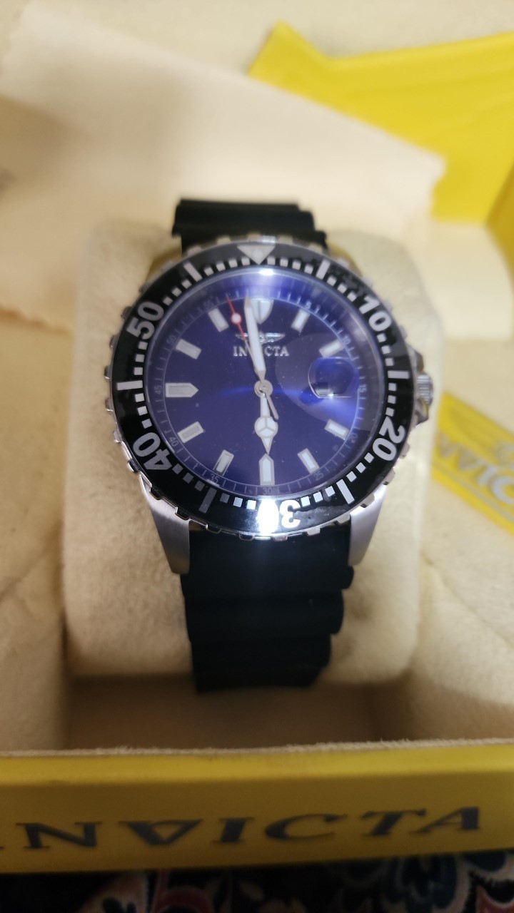 Invicta Watch Model #10919
