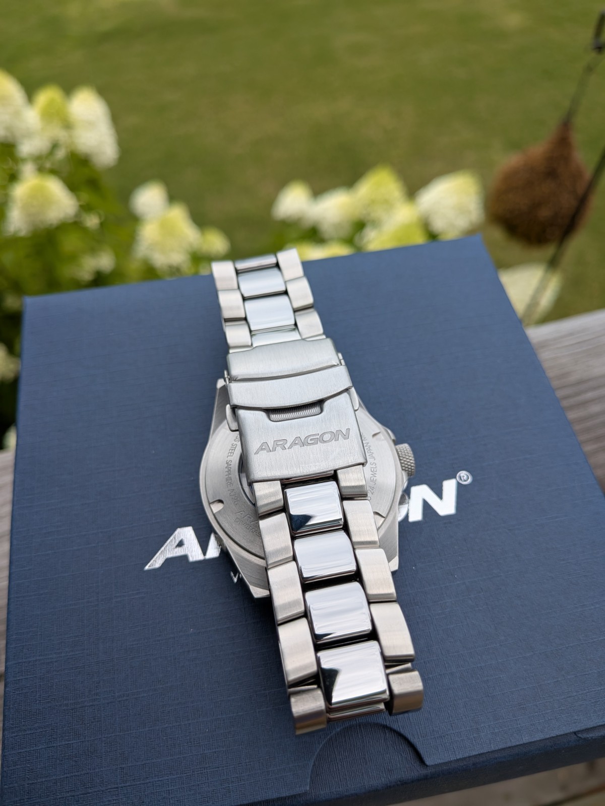 Aragon Divemaster Tungsten Automatic NH36 Men’s Watch