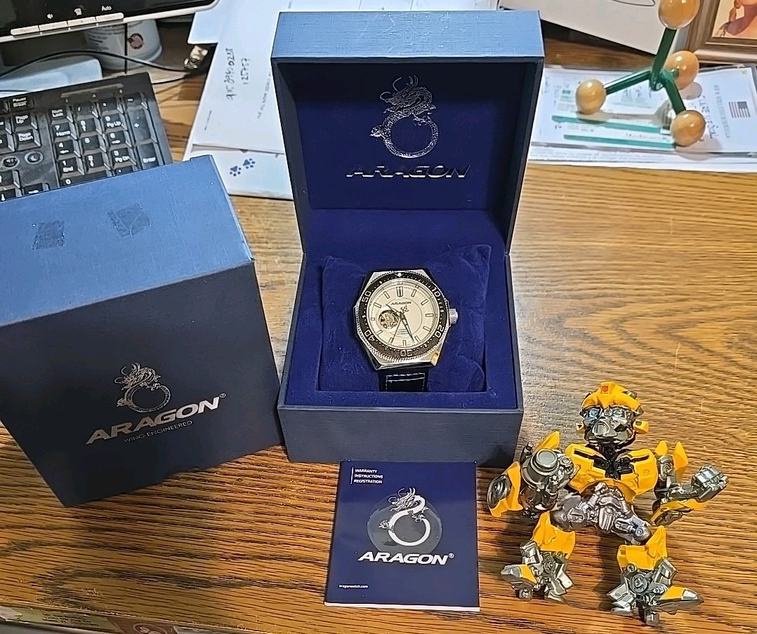 Mint Aragon DF-47 A383WHT Lume Dial NH38A Open Heart Automatic Bonus Bumblebee++