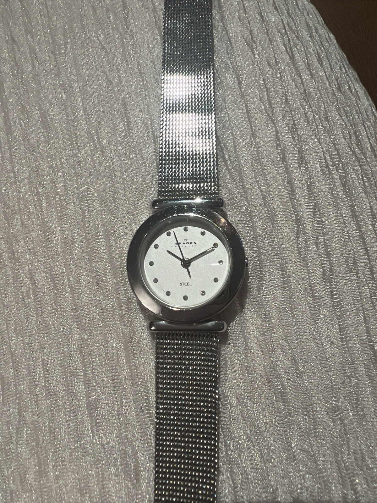 Skagen Denmark Steel Watch