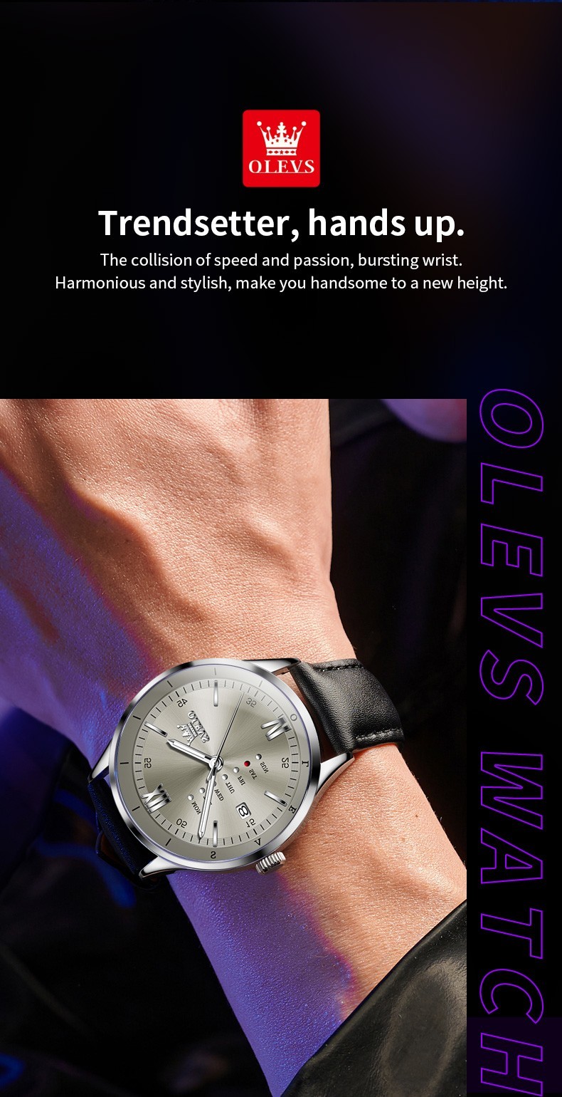 OLEVS 2931 Luminous 3Bar Waterproof Best Present Japan Movement Quartz Watch