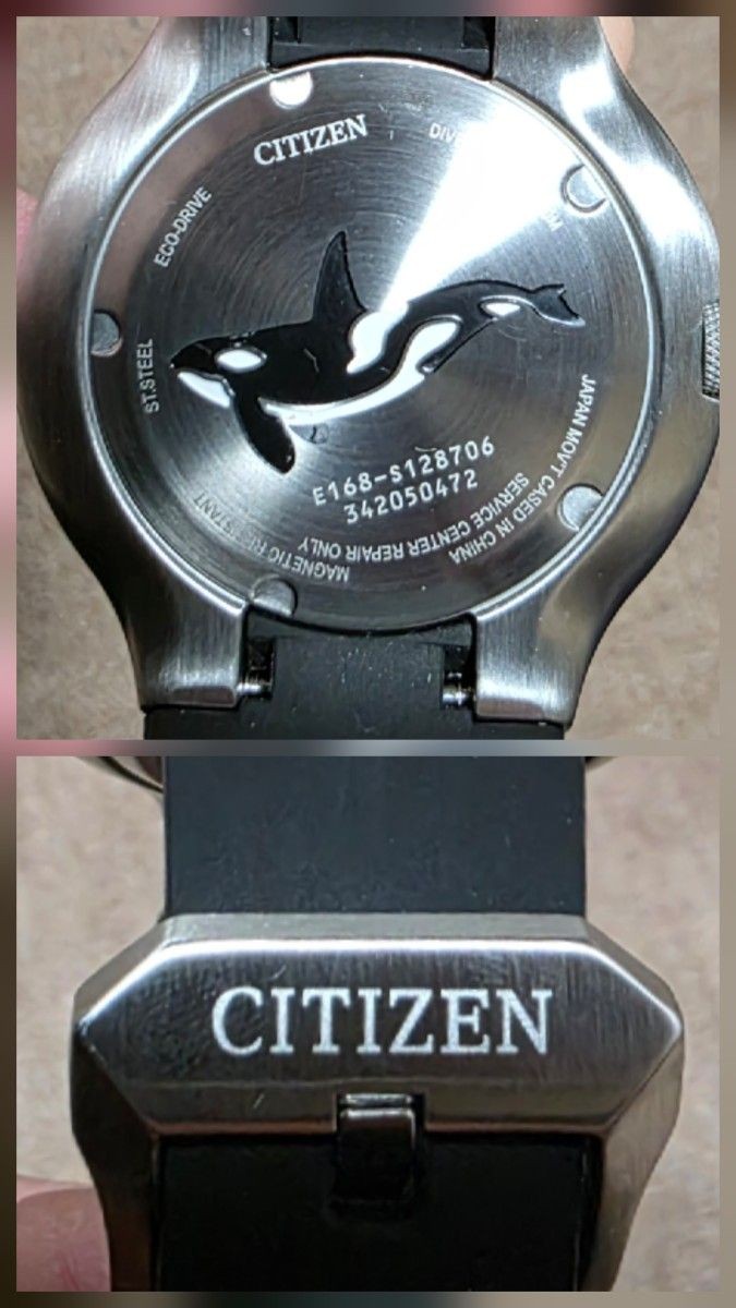 Citizen Promaster E168-S128706 Solar-Powered