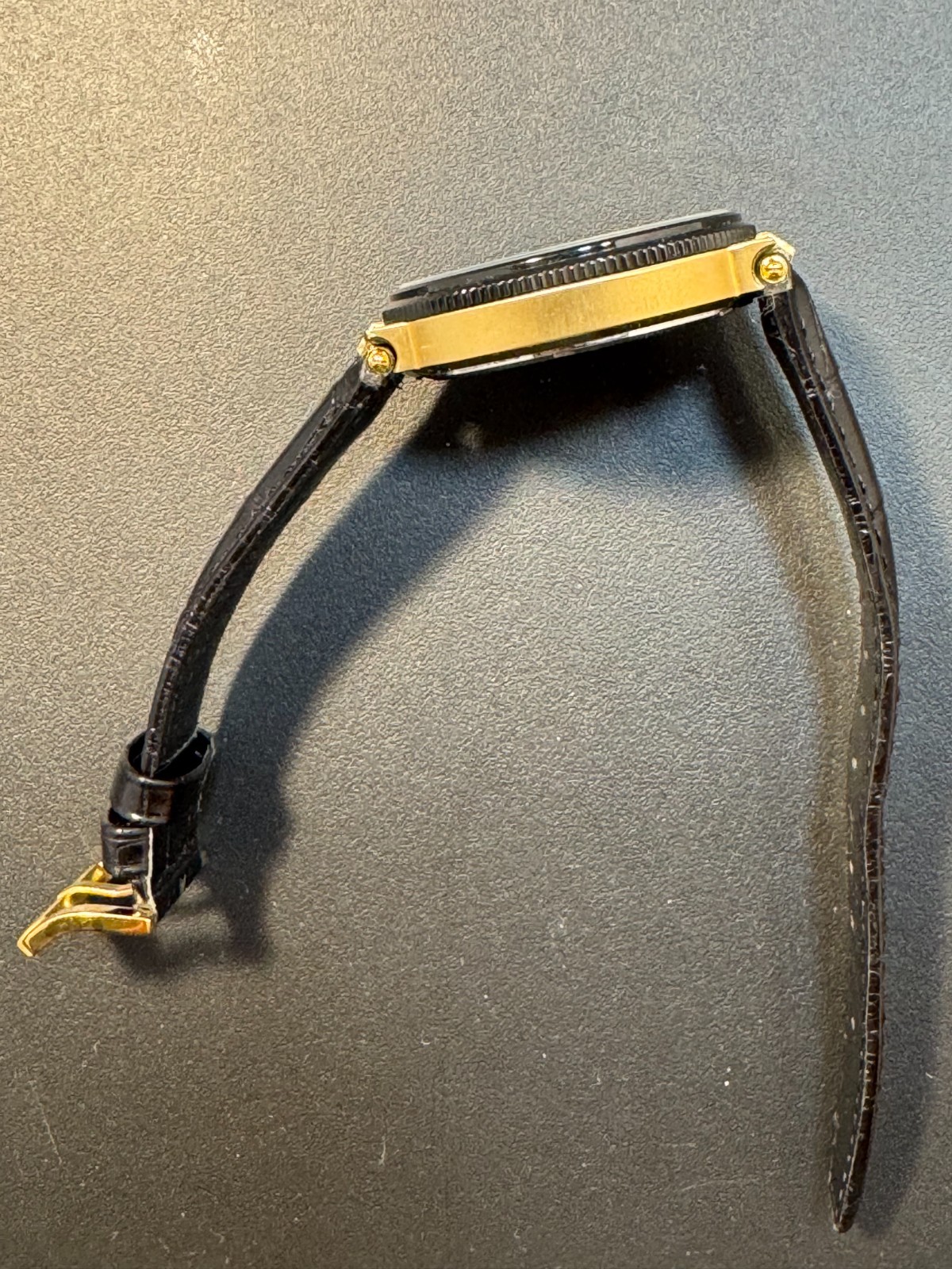 Daniel Steiger Professional Two-Tone Black Bezel Carbon Fiber Dial Watch 9202K-M