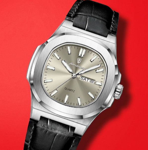 Men’s Luxury Gray Dial Watch 42mm Quartz Movement Luminous Date Display Poedagar