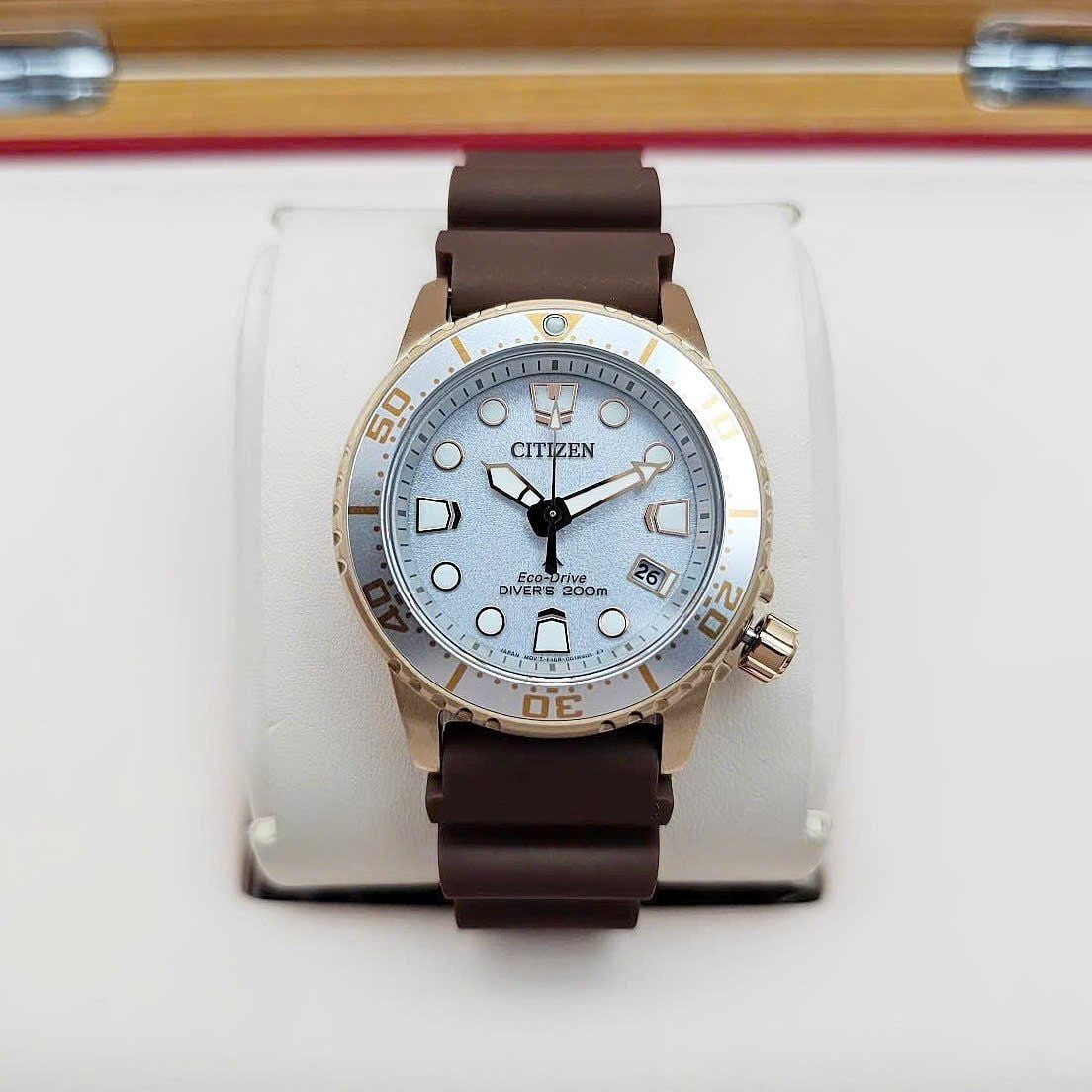 Citizen Eco-Drive Rose Gold Silver Dial Promaster Diver Women’s Watch EO2022-02A