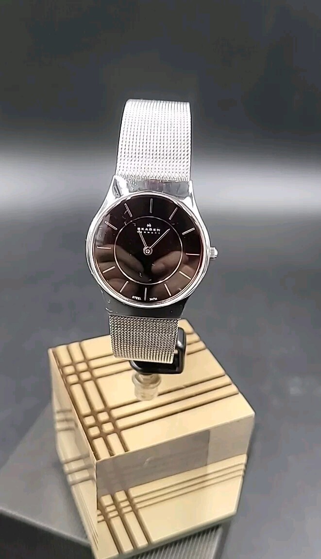 *BEAUTIFUL* STAINLESS STEEL SKAGEN DENMARK WATCH w/ ADJUSTABLE MESH BAND
