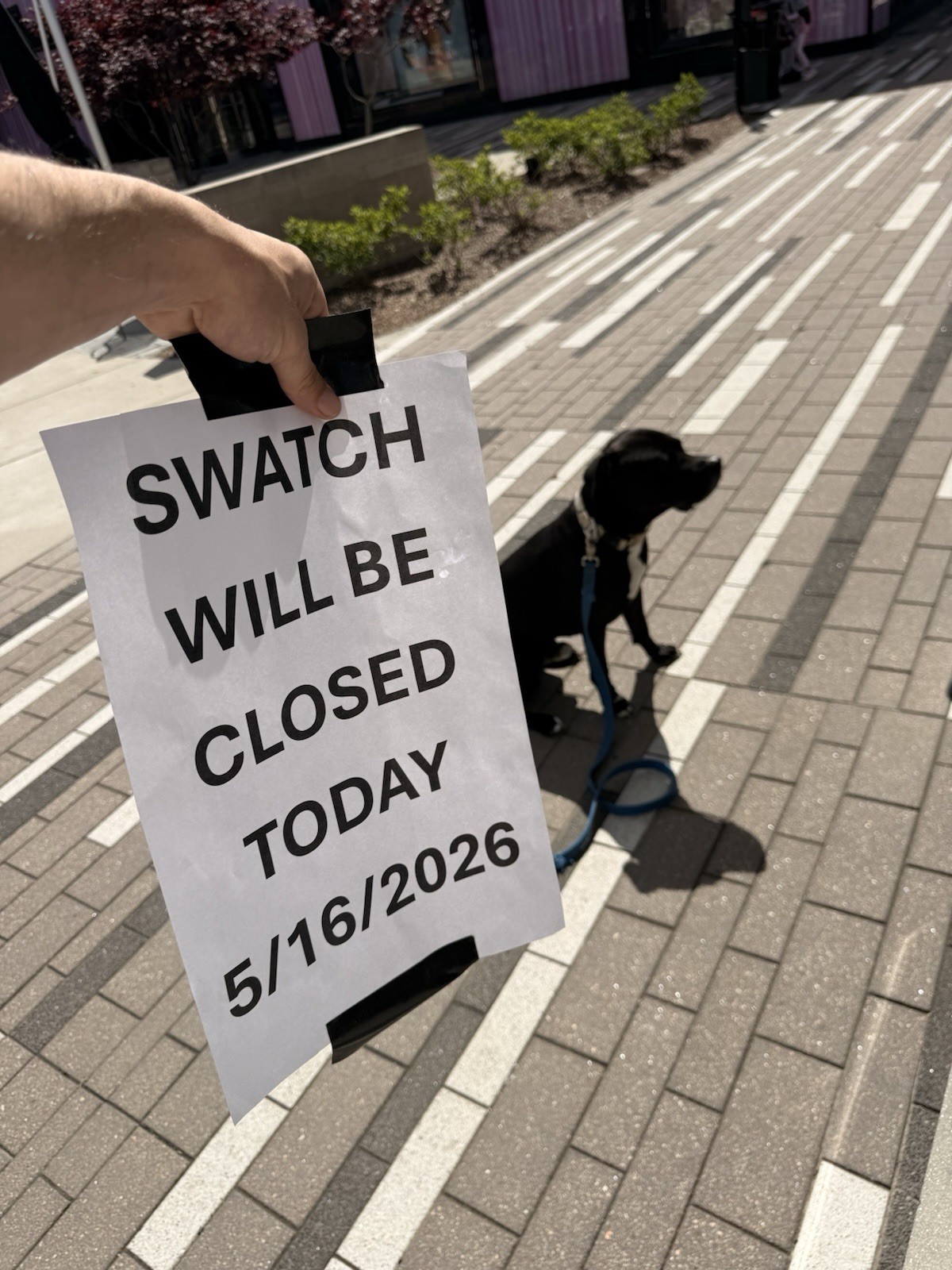 Swatch X AP poster – Closed Today 5/16/2026