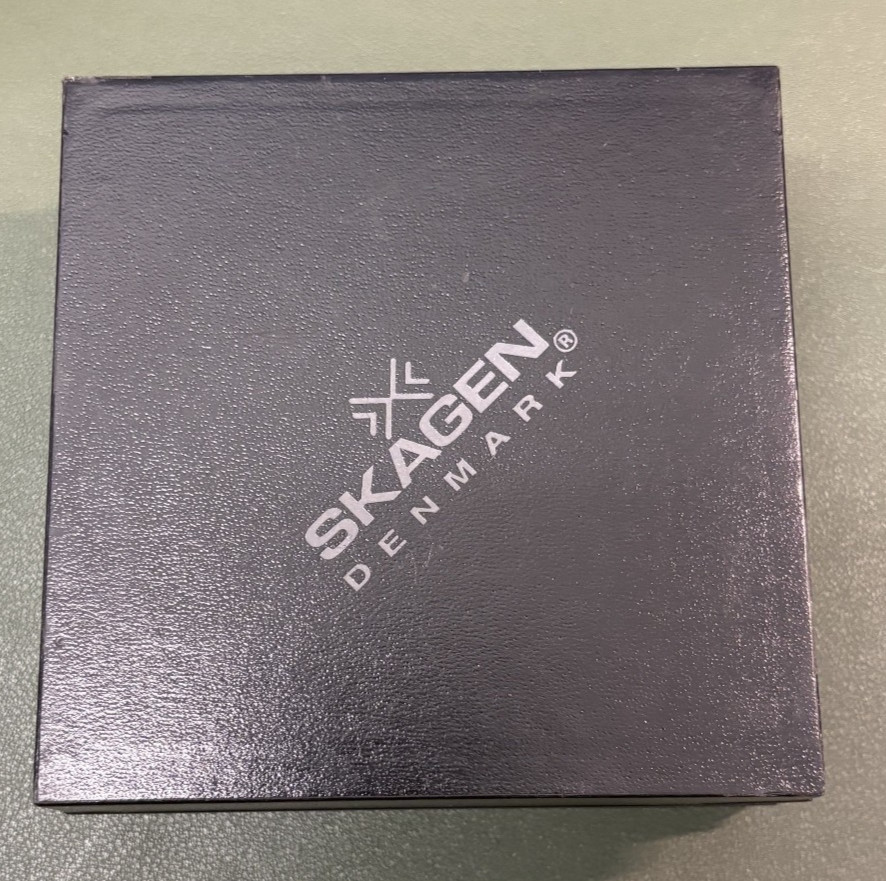 IN ORIGINAL BOX Skagen Denmark Silver Leather Band Watch Model 180LSLLW