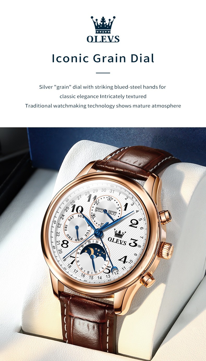 OLEVS 6667 Stylish Multi-functiom Water Resistant Casual Formal Mechanical Watch