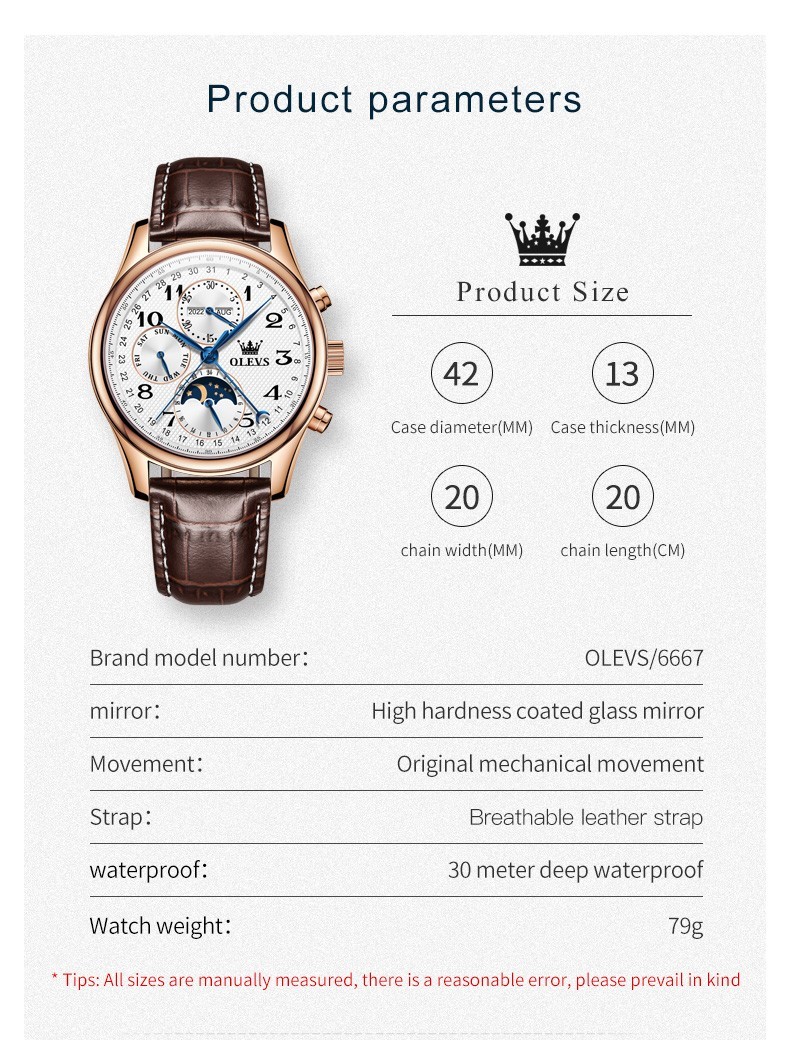 OLEVS 6667 Stylish Multi-functiom Water Resistant Casual Formal Mechanical Watch