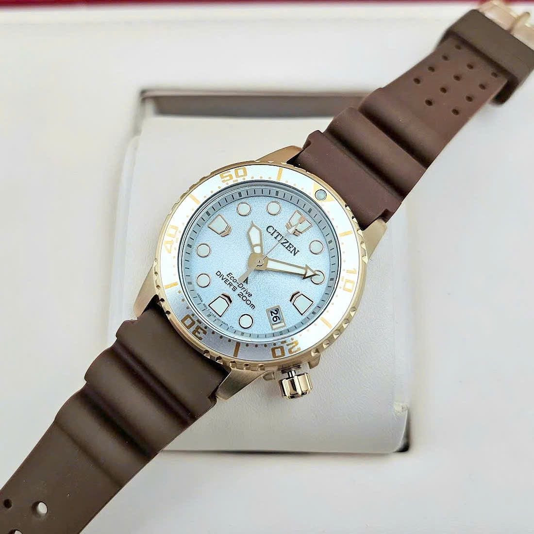 Citizen Eco-Drive Rose Gold Silver Dial Promaster Diver Women’s Watch EO2022-02A