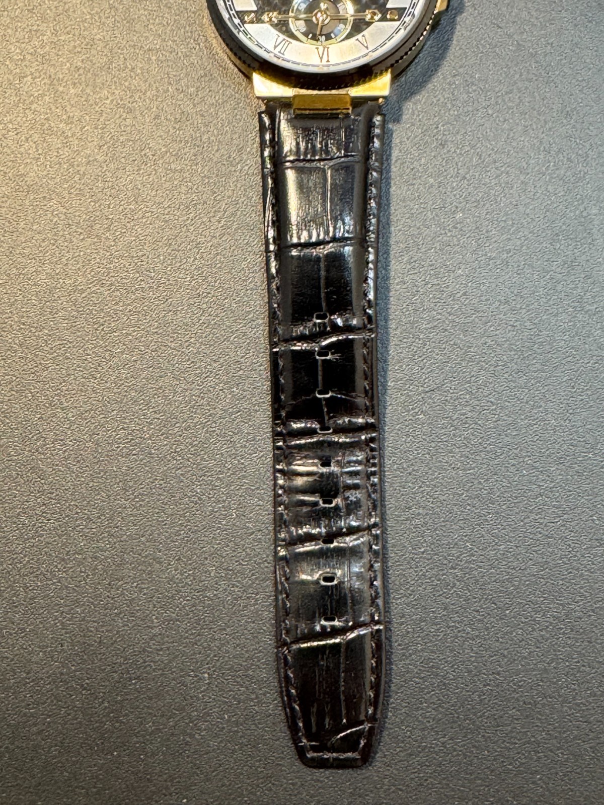 Daniel Steiger Professional Two-Tone Black Bezel Carbon Fiber Dial Watch 9202K-M