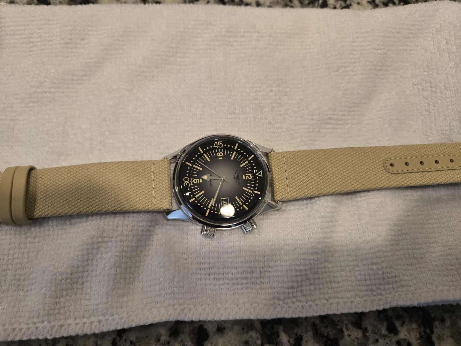 Longines Legend Diver 42 Gray L3.774.4.70.2