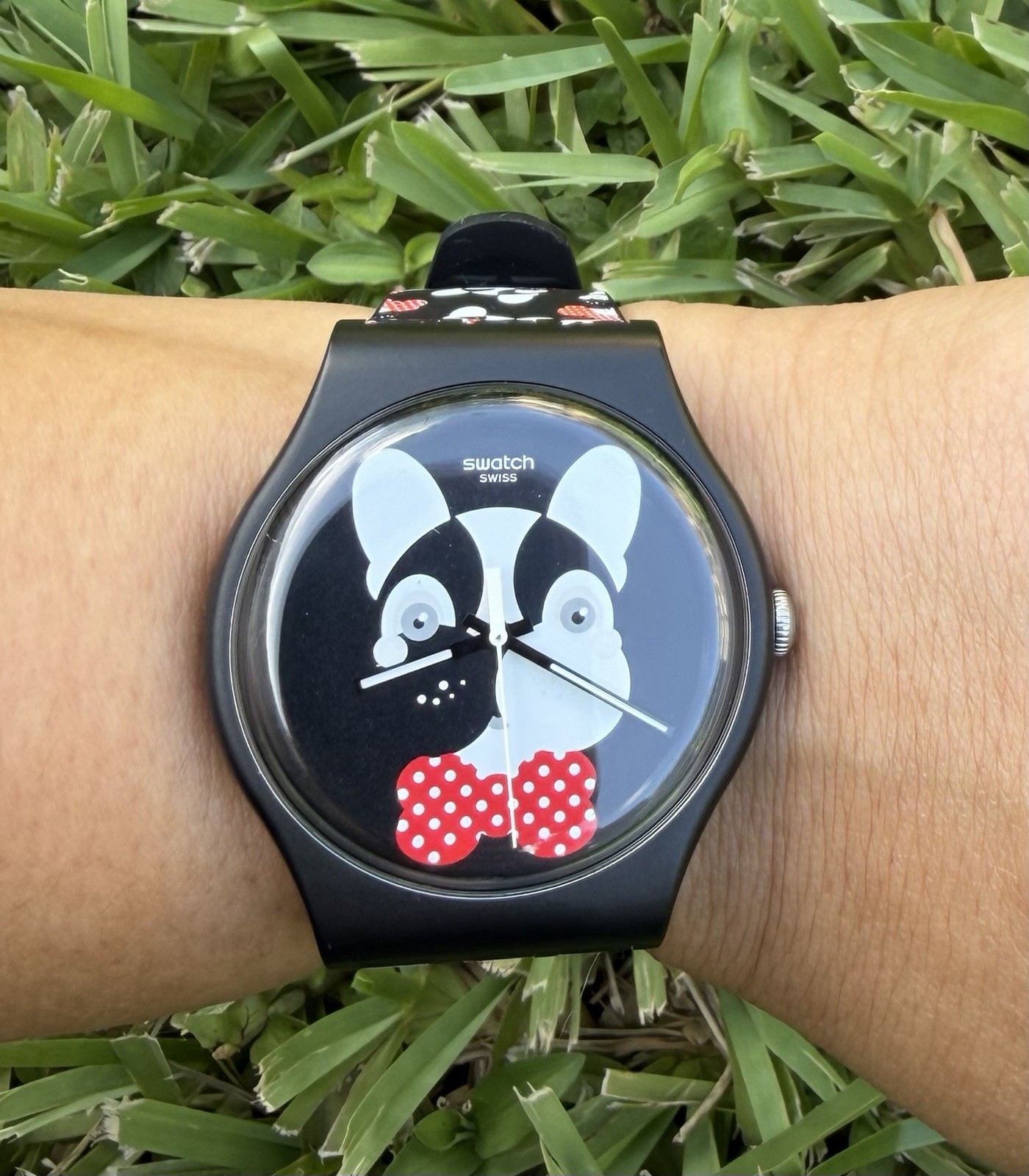 Swatch Watch ANDY BABY (2015) French Bulldog | NO BOX NO PAPERS | US SELLER