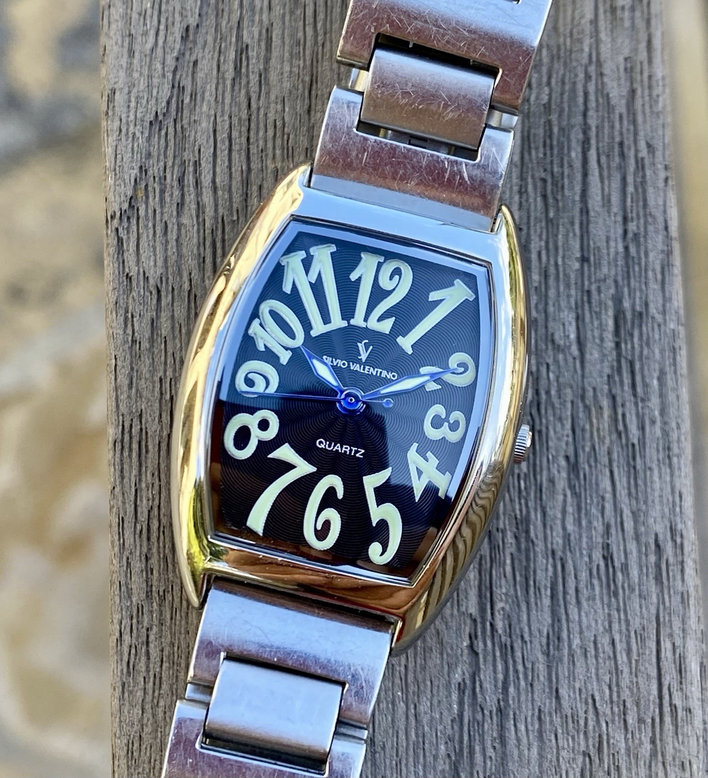 Silvio Valentino Quartz Watch 25mm Tonneau Shaped All Stainless Steel Unisex