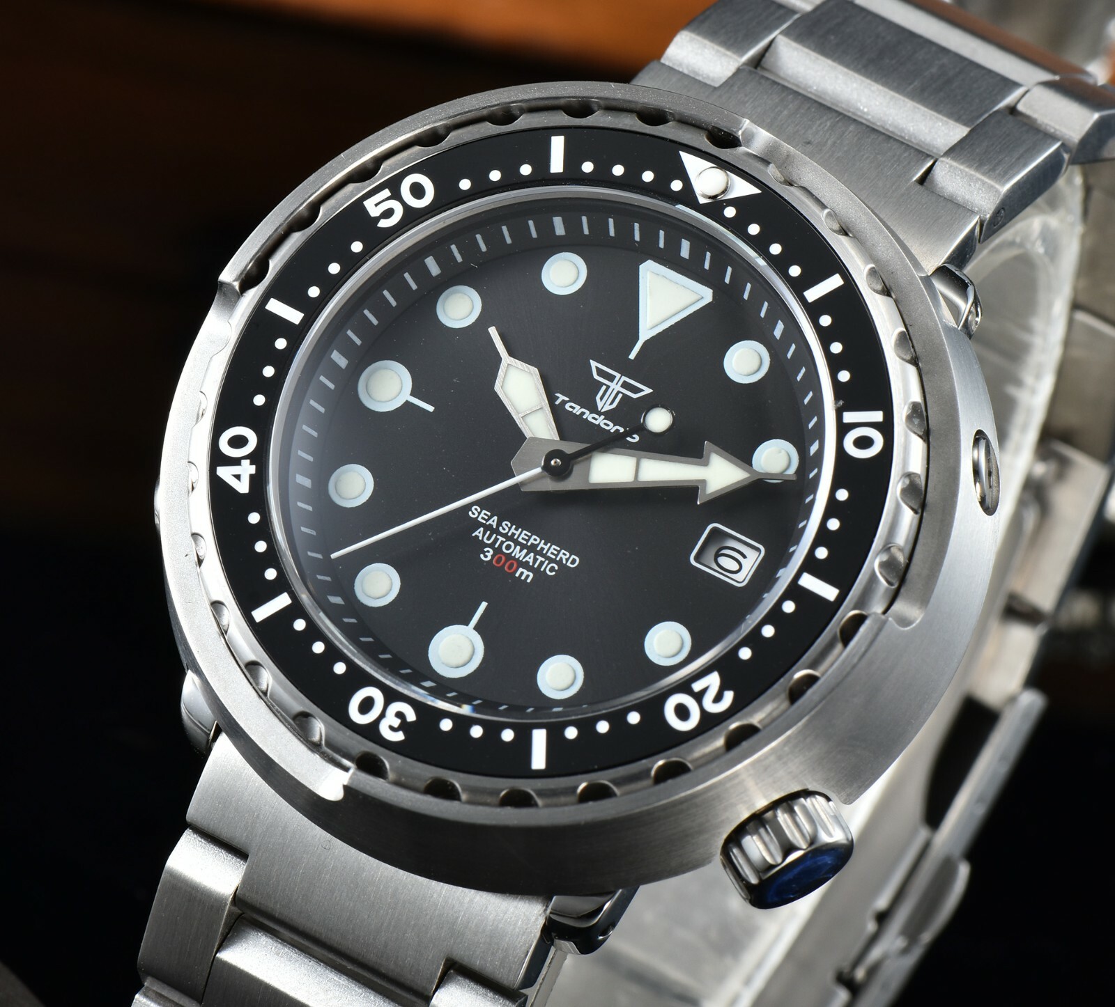 30ATM Diver 46.5mm Tandorio Japan NH35A Lume Sapphire Glass Automatic Mens Watch
