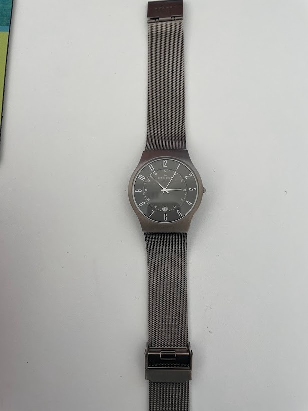 Skagen Denmark Watch