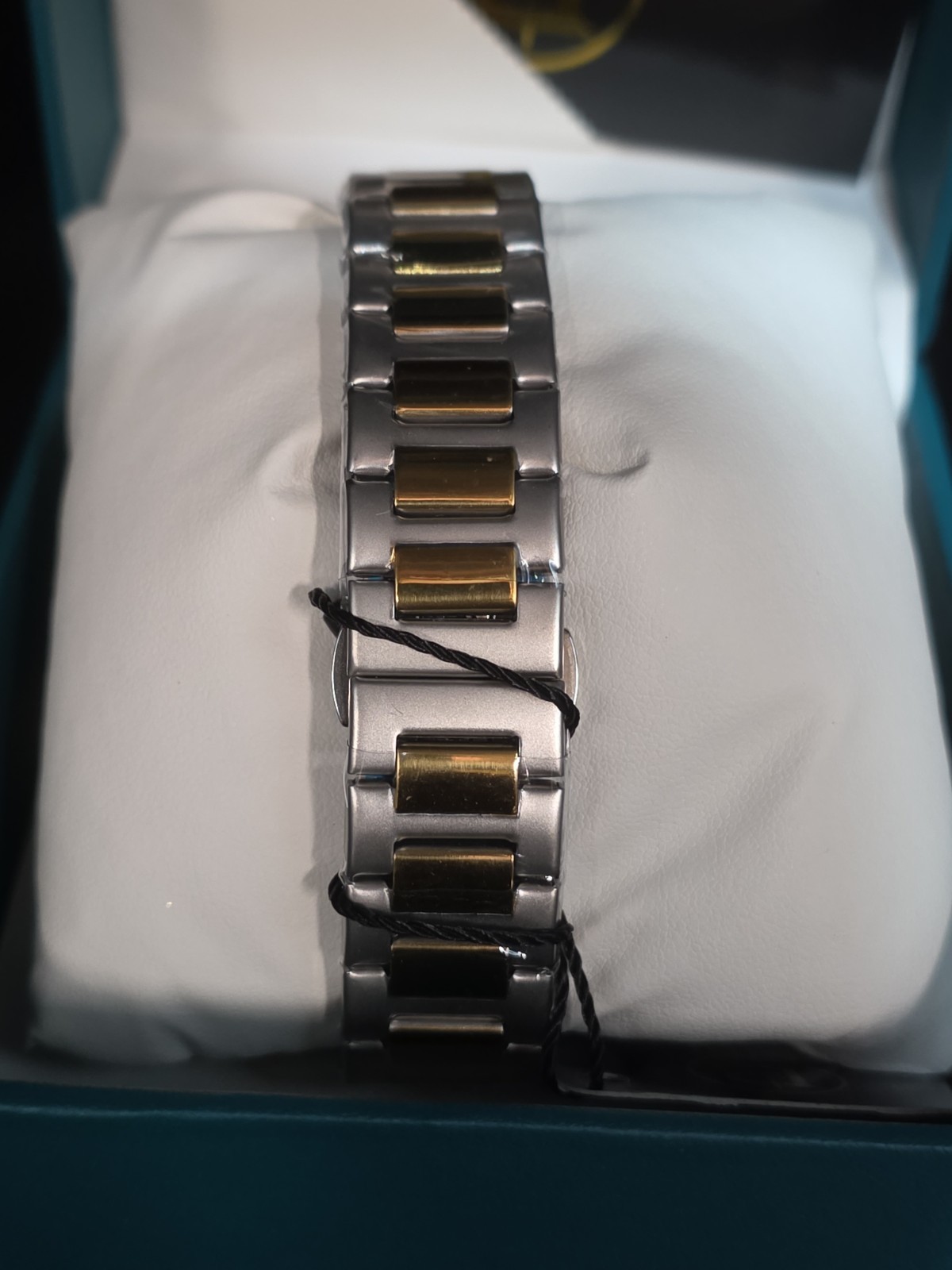 BIBI Luxury Watch Automatic Skeleton Gold And Silver Tone 9010