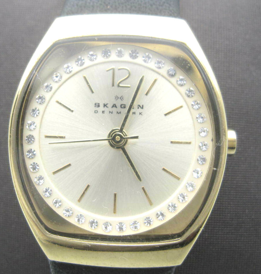 Women Sakgen Denmark 3ATM 23mm Super Hardened Mineral Crystal Analog Watch(E893)