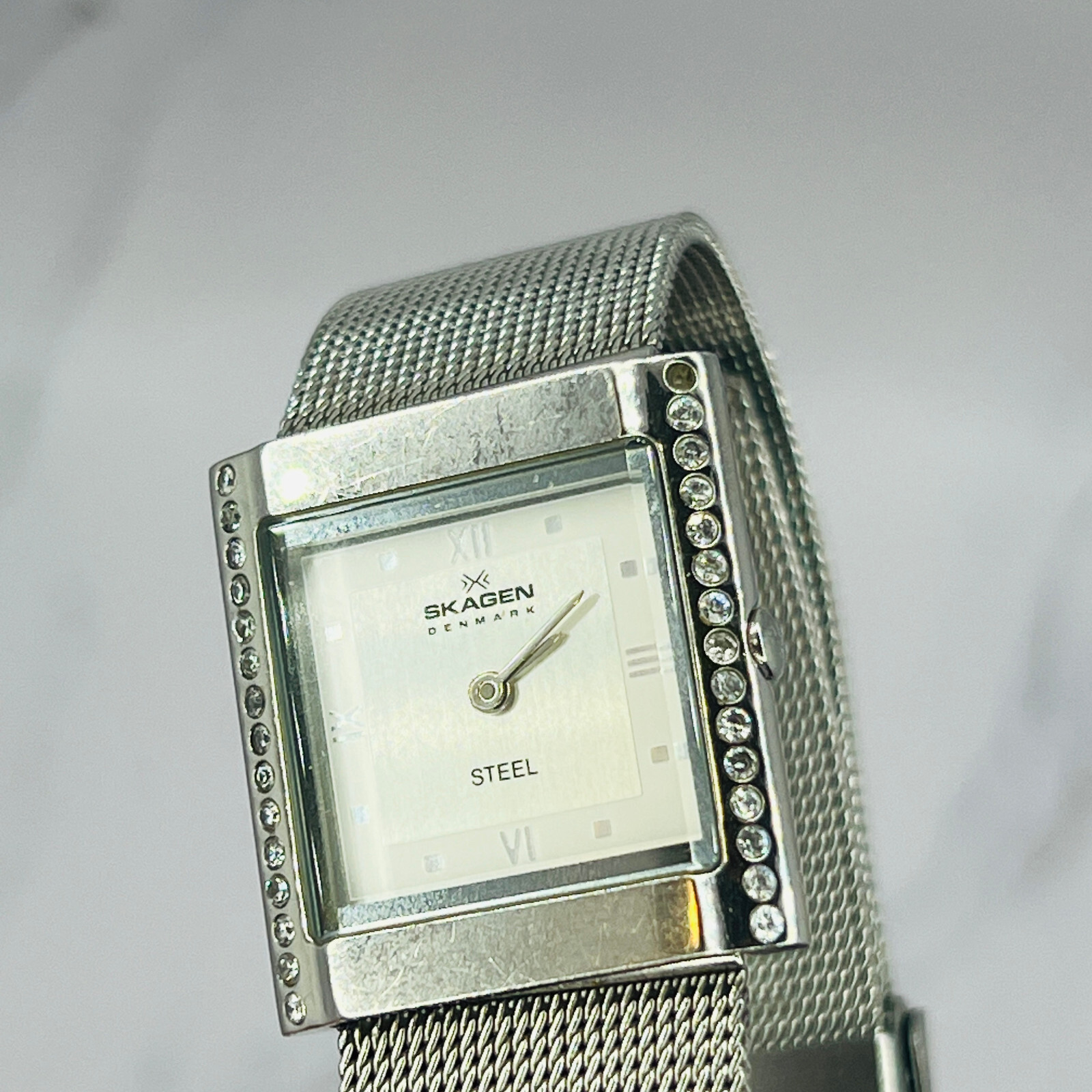 Skagen Denmark Stainless Steel Water Resistant Ultra Slim Quartz 173SSLDP Mesh