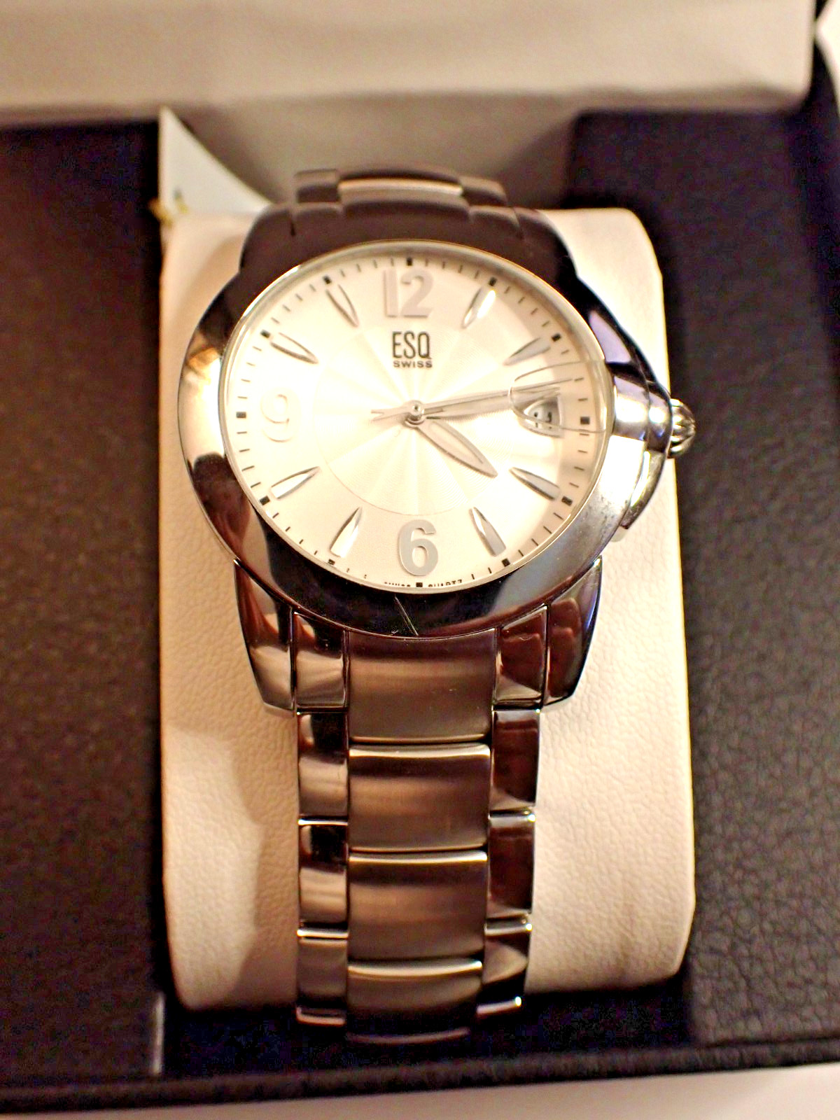 ESQ SWISS E5387 All SS Date Swiss Quartz Men’s Wristwatch