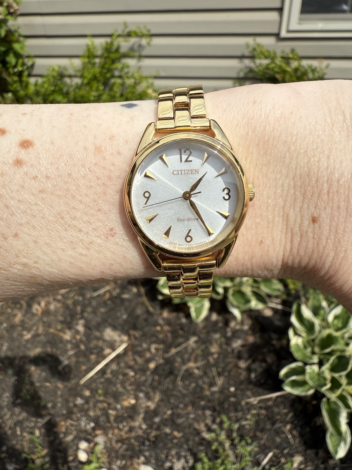 Citizen Unisex Yellow Gold Plated Watch 27 mm EM0682-74A Eco Drive