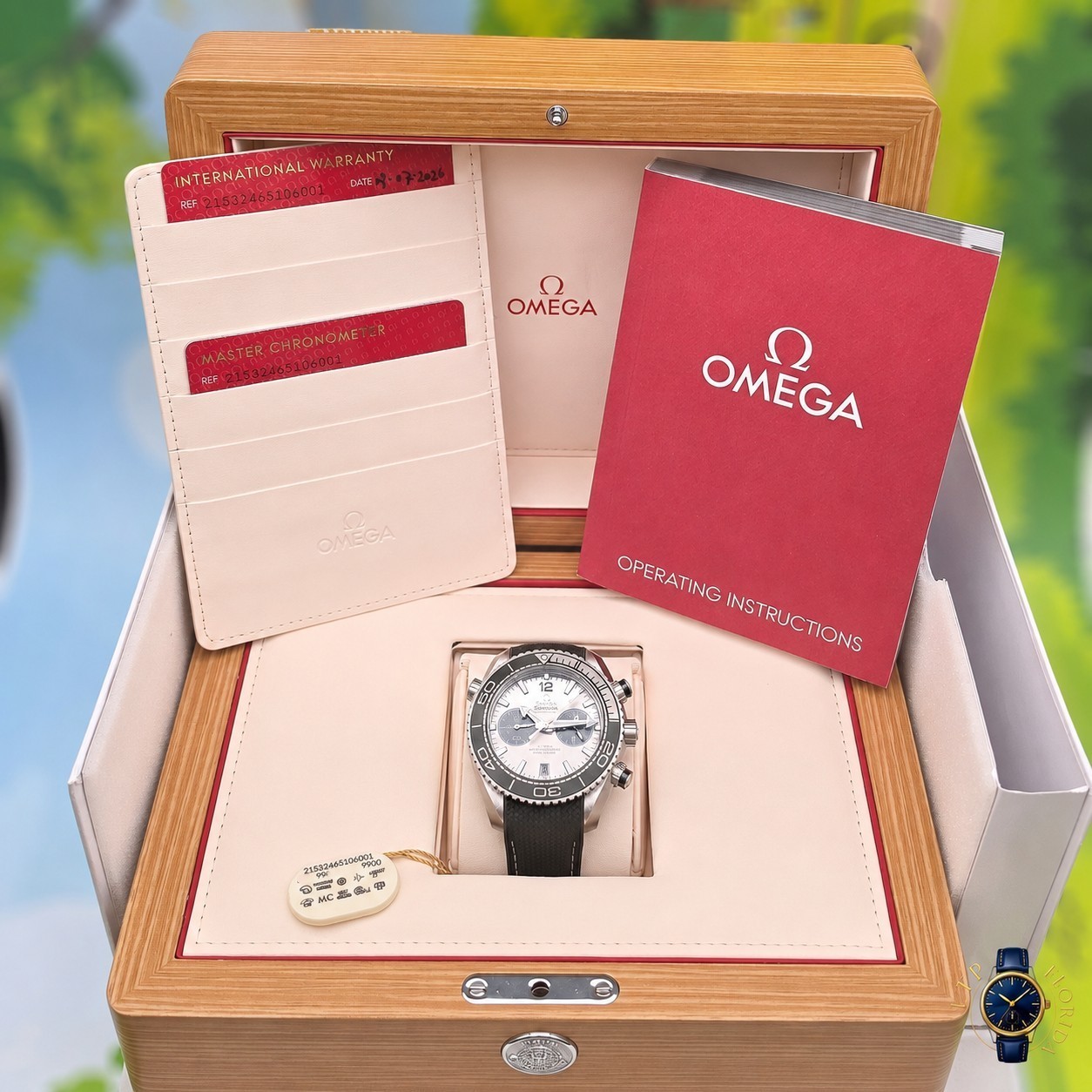 2026 | Omega | Seamaster | Planet Ocean 600M| Grey Dial | 215.32.46.51.06.001