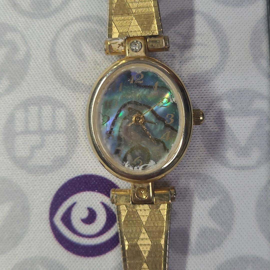 LA Express Ladies Abalone Shell Gold Tone Band Dress Watch (BAND DOES NOT CLASP)