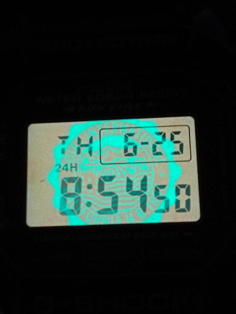 CASIO G-SHOCK DW-5600VT From Japan