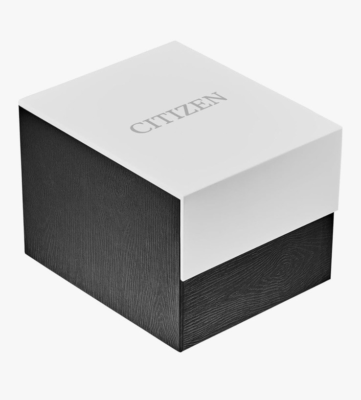 Citizen Men’s Eco-Drive Model Number: NJ0150-56L