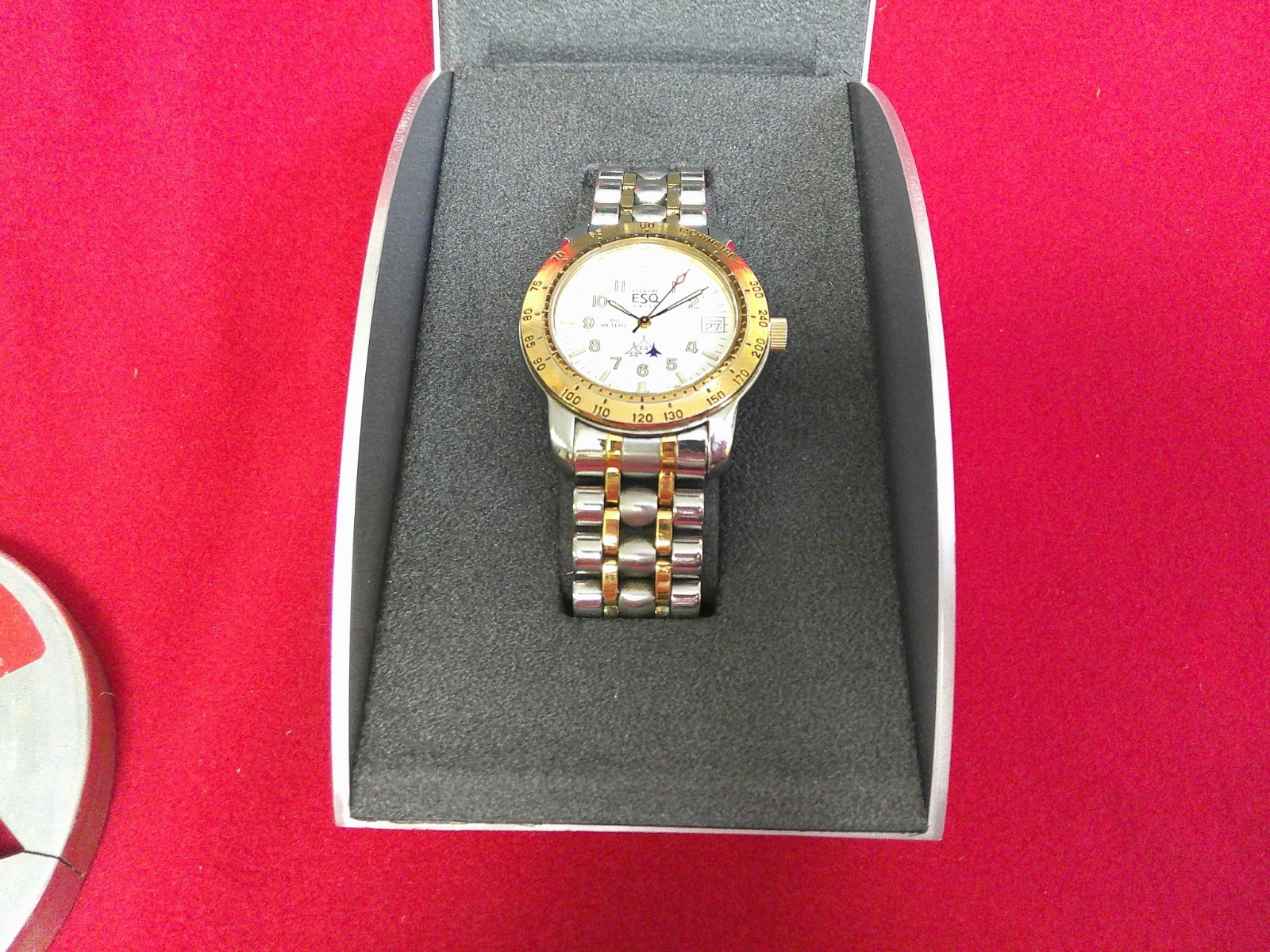 ESQ TWO TONE MENS WATCH