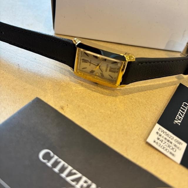 Citizen Eco Drive CITIZEN L EW5622 09P