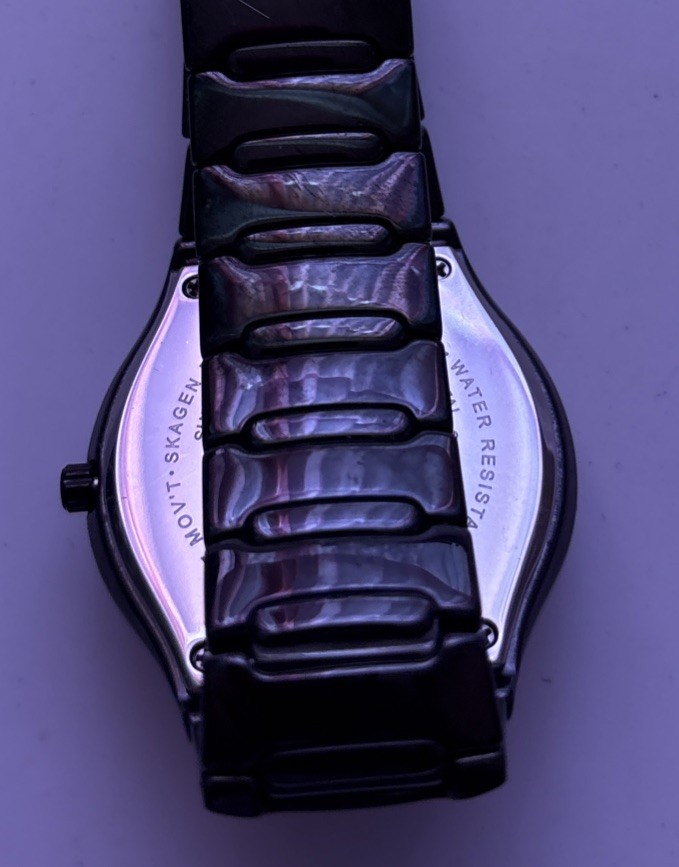 Skagen Ceramic Collection Women’s Black Dial Quartz Watch 817SBXBC